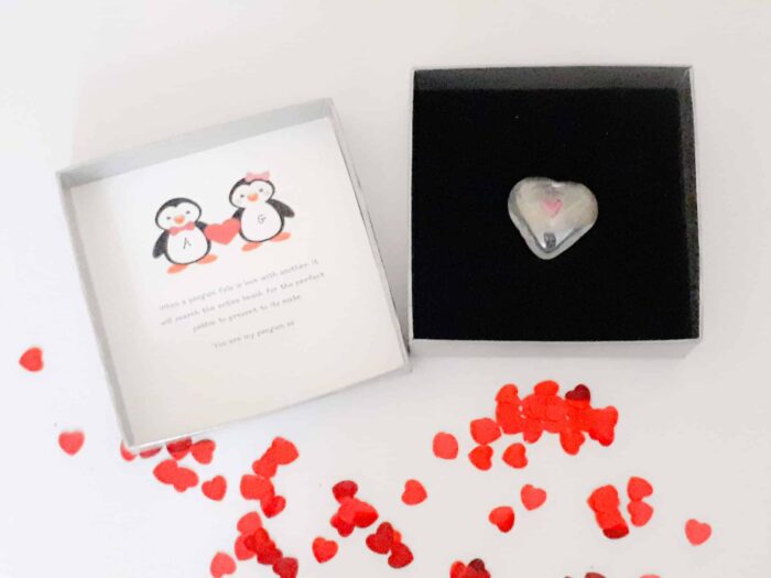 Penguin pebble gift