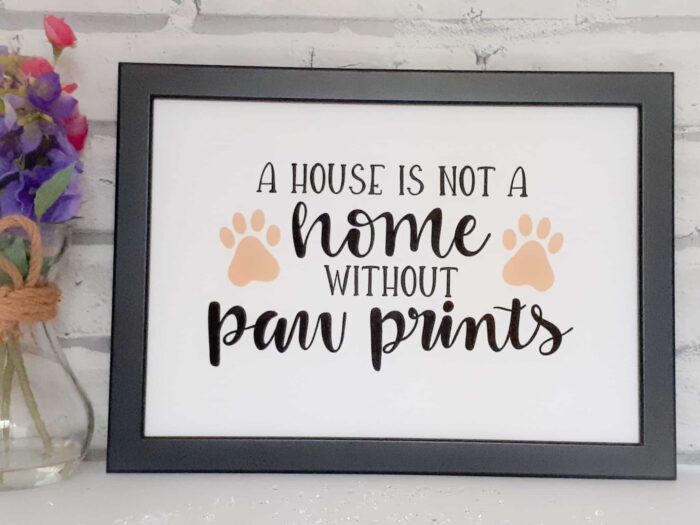 A house is not home without paw prints