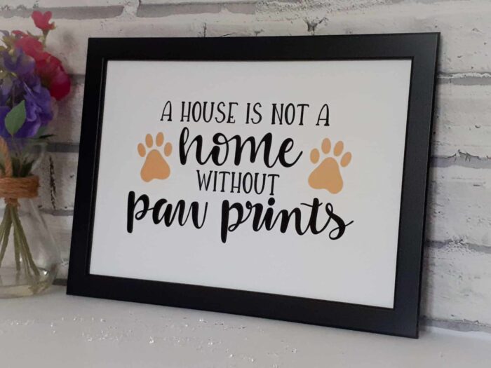 A house is not home without paw prints