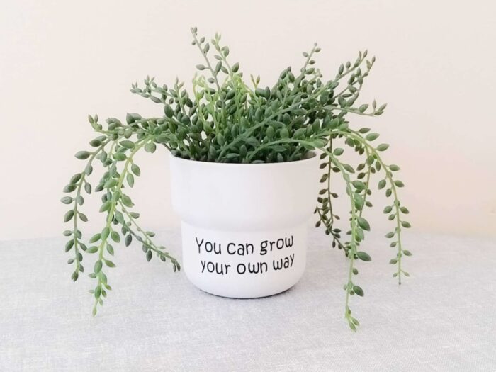 You can grow your own way plant pot