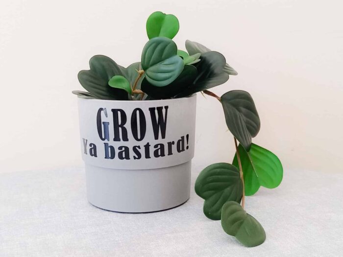 Grow ya bastard plant pot