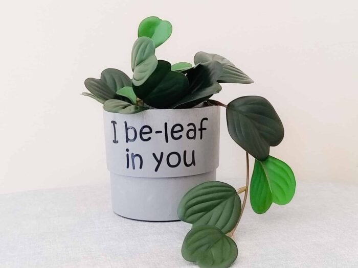 I Be-leaf in you flower pot