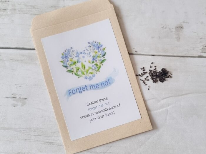forget me not